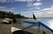 1997-Petite plage de Montezuma