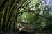 2062-Parc Manuel Antonio